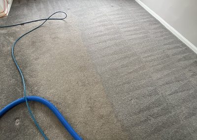 Best-carpet-cleaning-Glasgow.jpeg